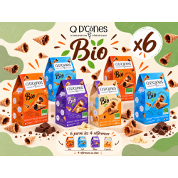 Q D'CÔNES BIO PACK 6