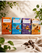 Q d’cônes BIO – Cornets chocolatés BIO | Q d’cônes